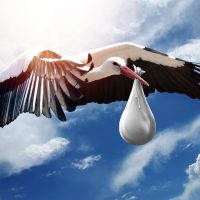 Stork carrying newborn baby